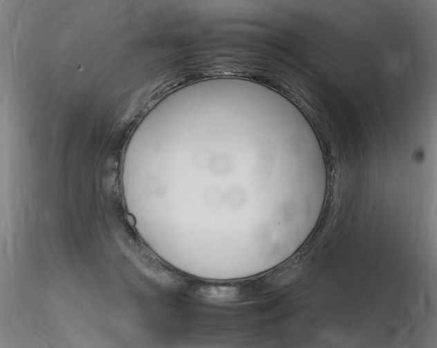 X0000116370361200912021015