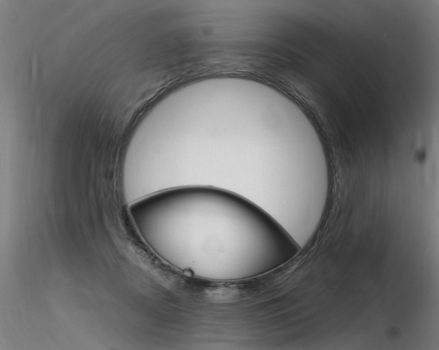 X0000116370362200912021015