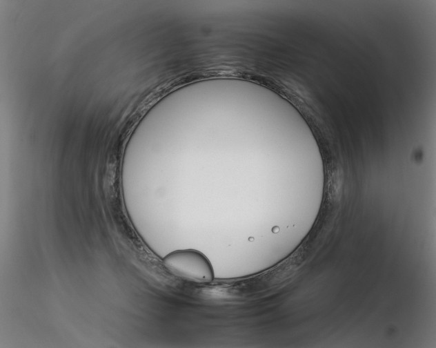 X0000116370365200912021015