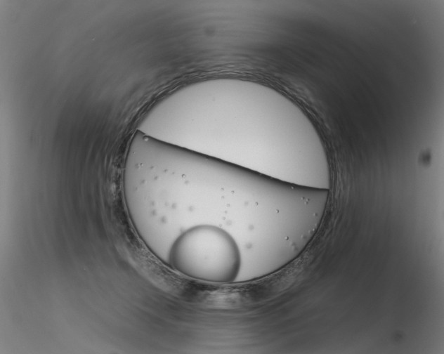 X0000116370366200912021015