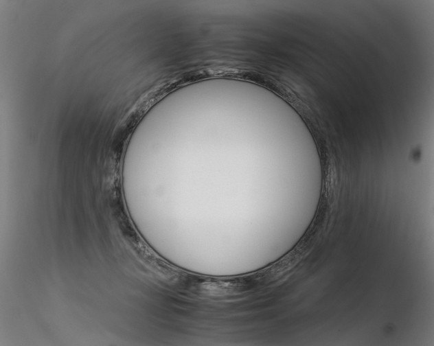 X0000116370367200912021015