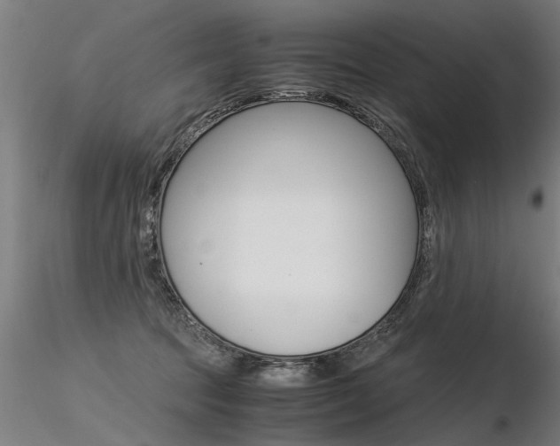X0000116370369200912021015