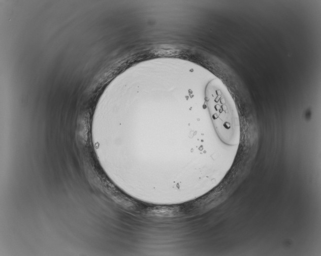 X0000116370370200912021015