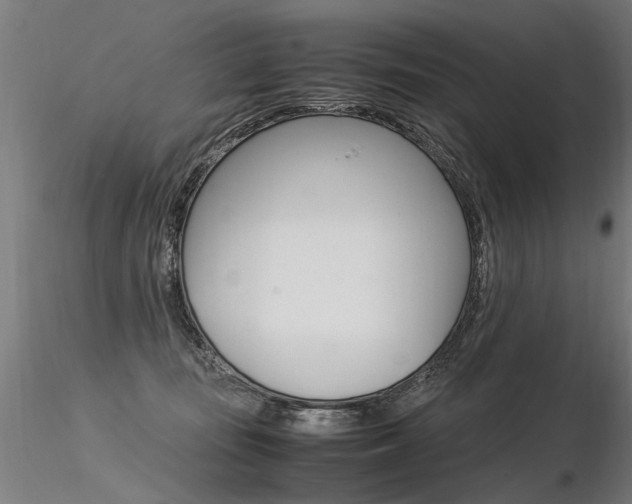 X0000116370371200912021015