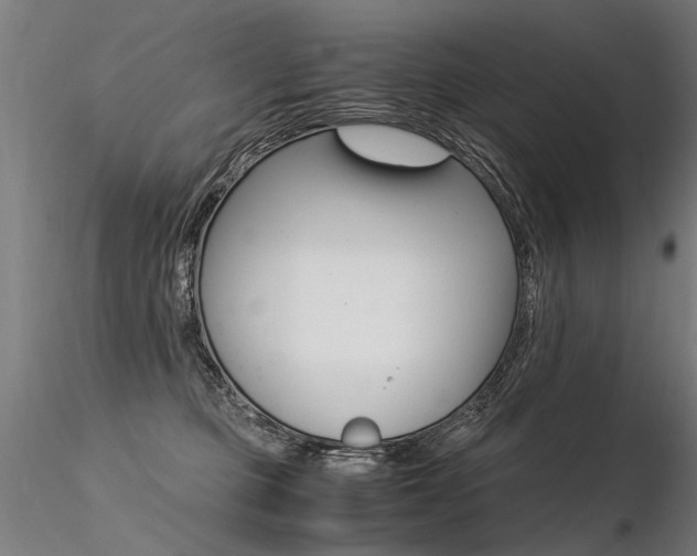 X0000116370373200912021015
