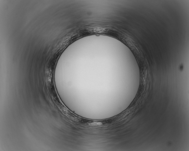 X0000116370374200912021015