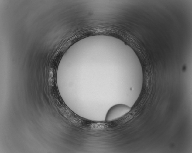 X0000116370378200912021016