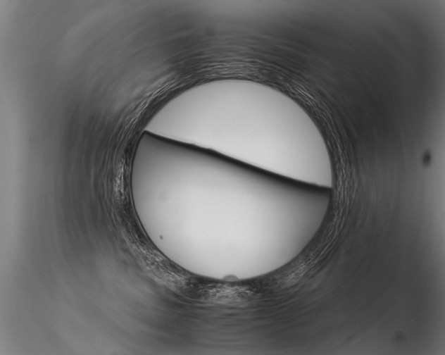 X0000116370379200912021016