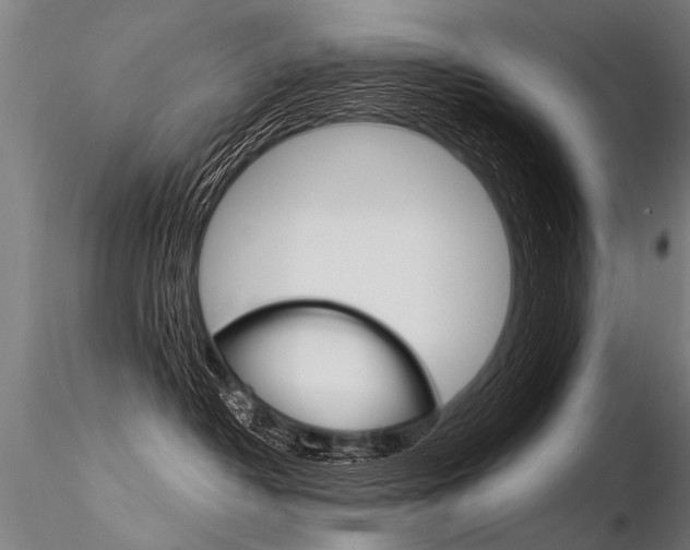 X0000116370382200912021016
