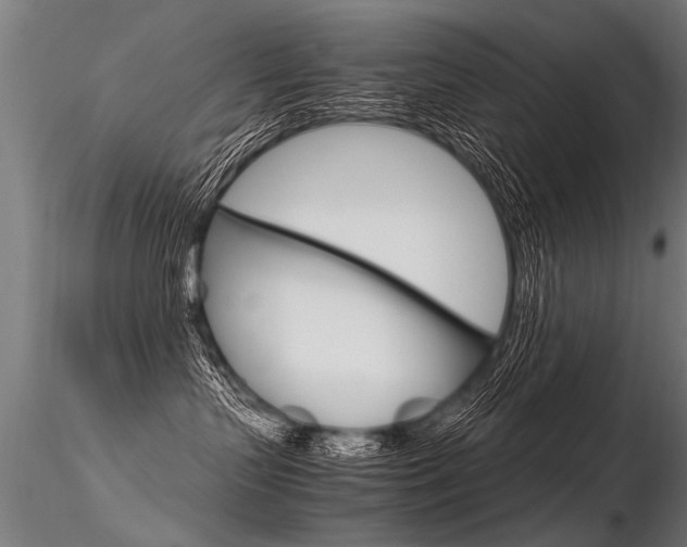 X0000116370383200912021016