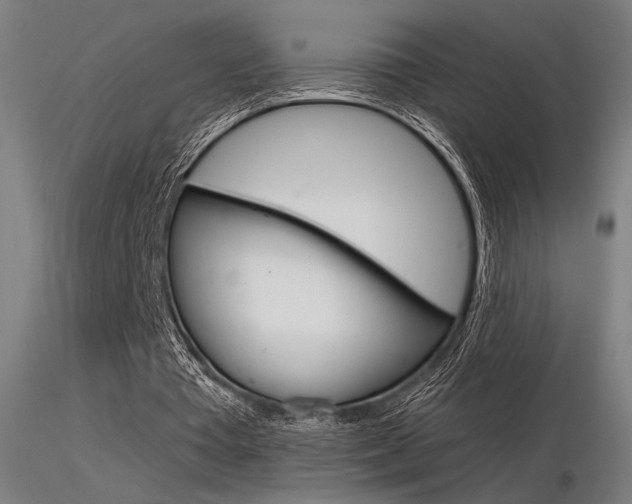 X0000116370385200912021015
