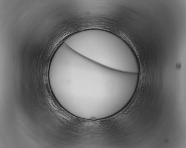 X0000116370386200912021015