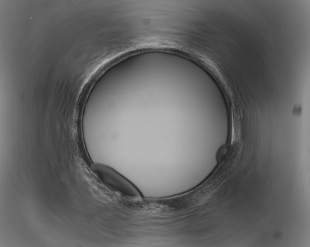 X0000116370387200912021015