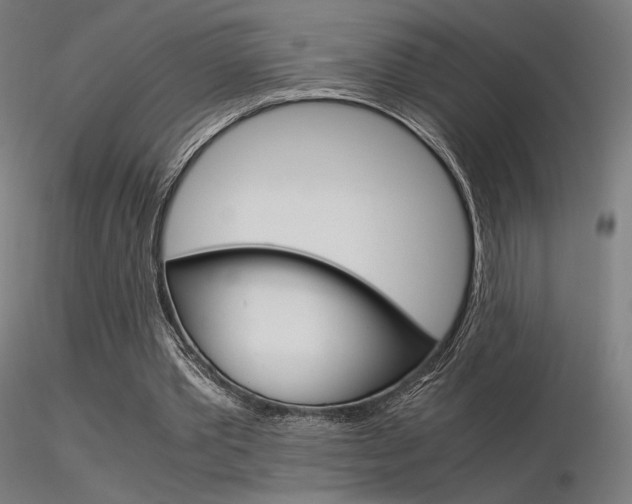X0000116370389200912021015