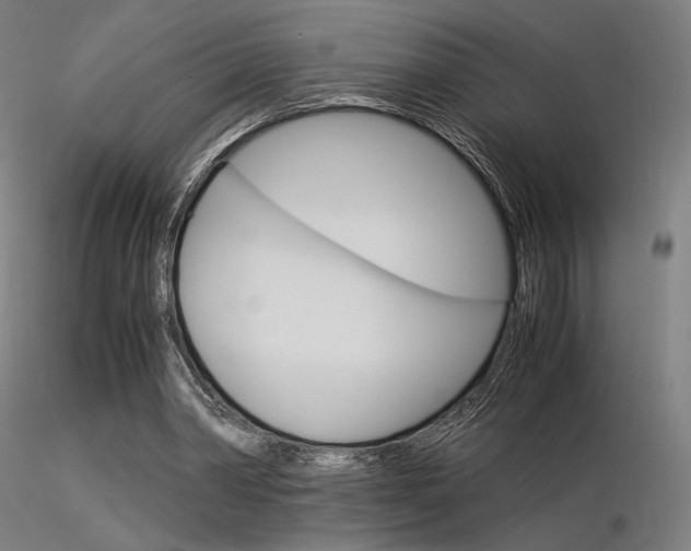 X0000116370390200912021015