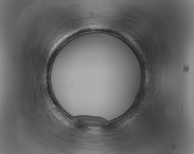X0000116370391200912021015