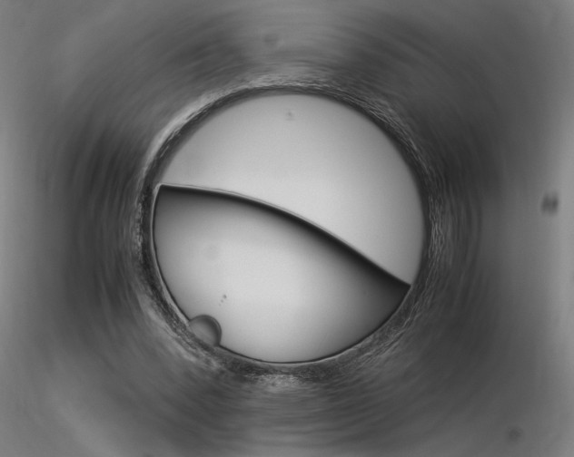 X0000116370392200912021015