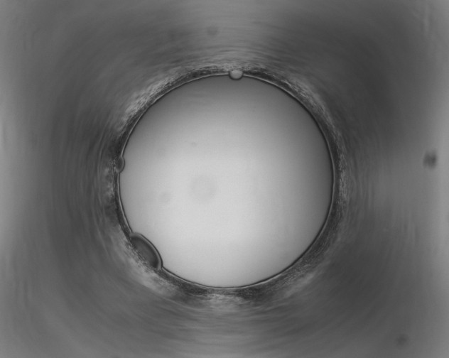 X0000116370393200912021015