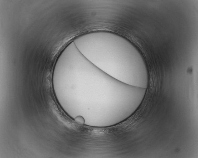 X0000116370394200912021015