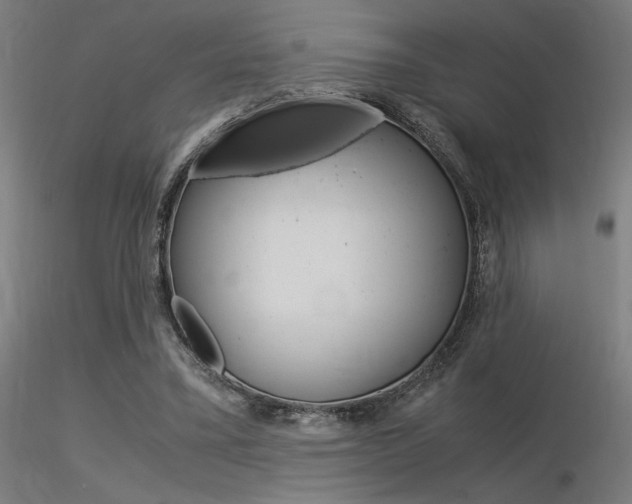 X0000116370395200912021015