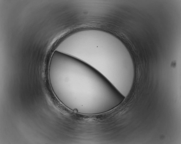 X0000116370396200912021015