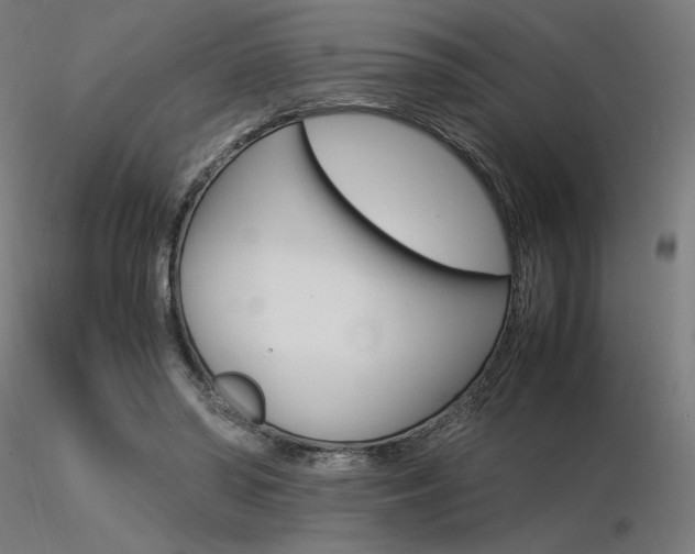 X0000116370398200912021015