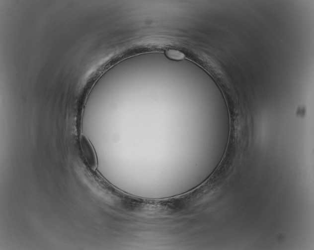 X0000116370399200912021015