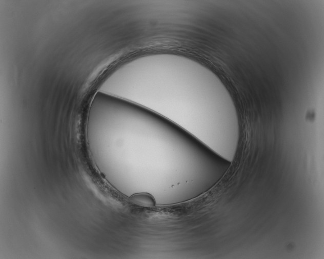 X0000116370400200912021015