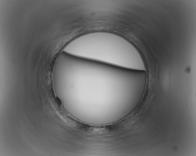 X0000116370401200912021015