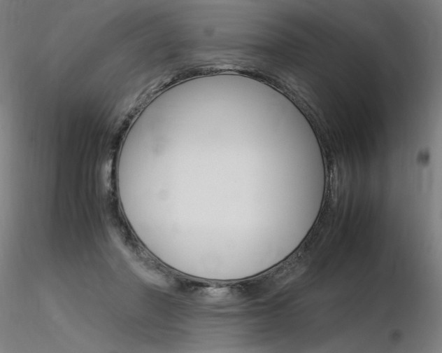 X0000116370406200912021014