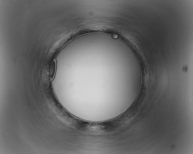 X0000116370407200912021014