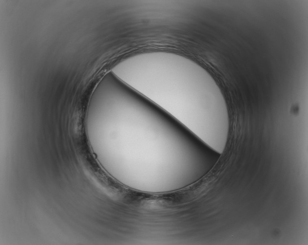 X0000116370408200912021014