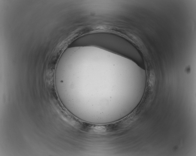 X0000116370409200912021014