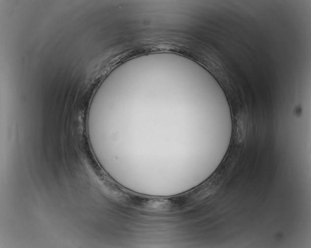 X0000116370410200912021014