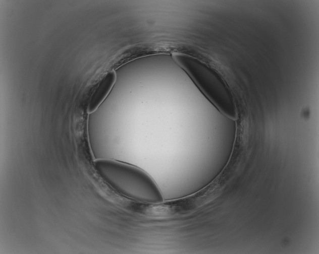 X0000116370413200912021014