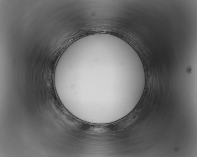X0000116370414200912021014