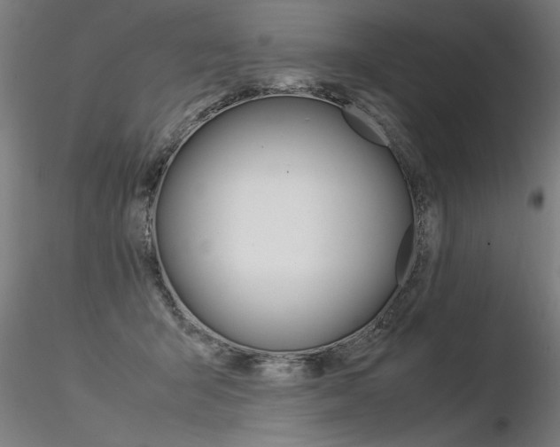 X0000116370415200912021014
