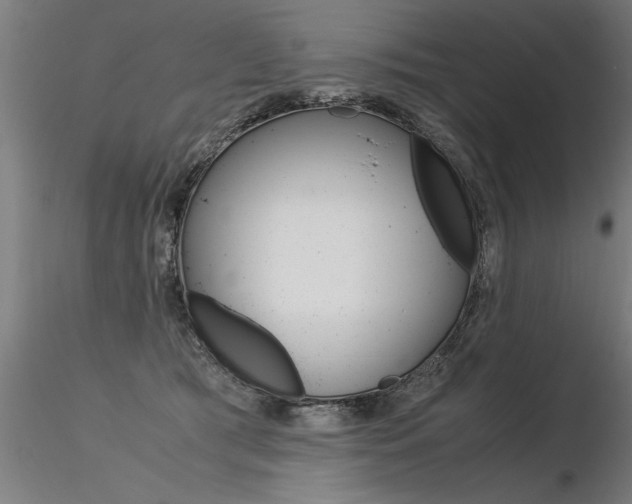 X0000116370417200912021014