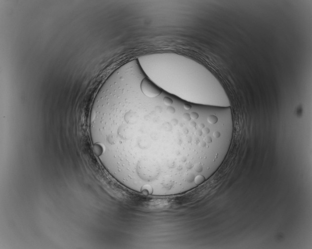 X0000116370418200912021014