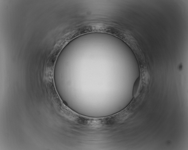 X0000116370419200912021014