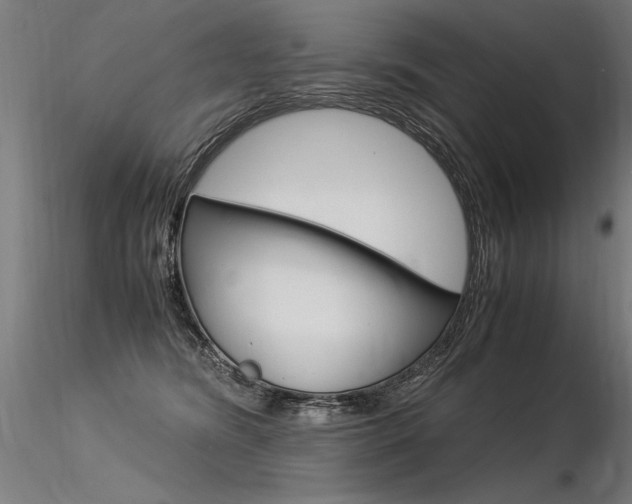 X0000116370420200912021014