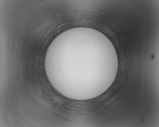 X0000116370421200912021014