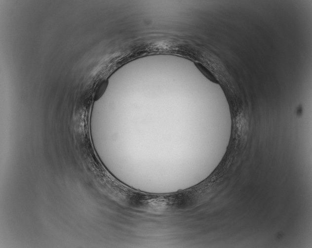 X0000116370423200912021014