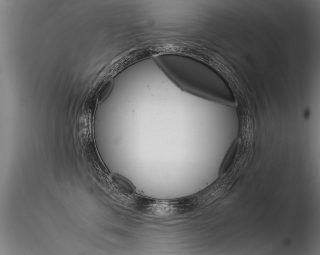 X0000116370425200912021014