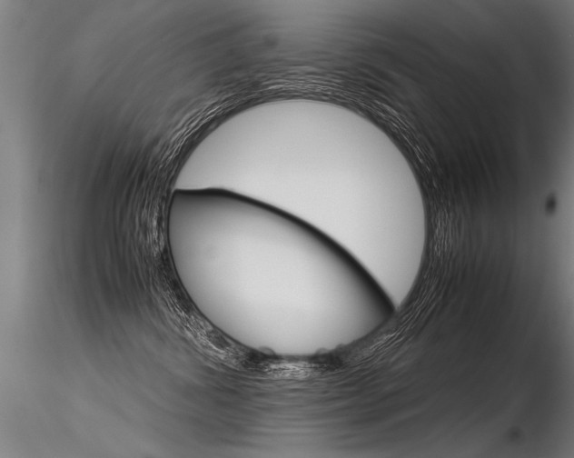 X0000116370428200912021014