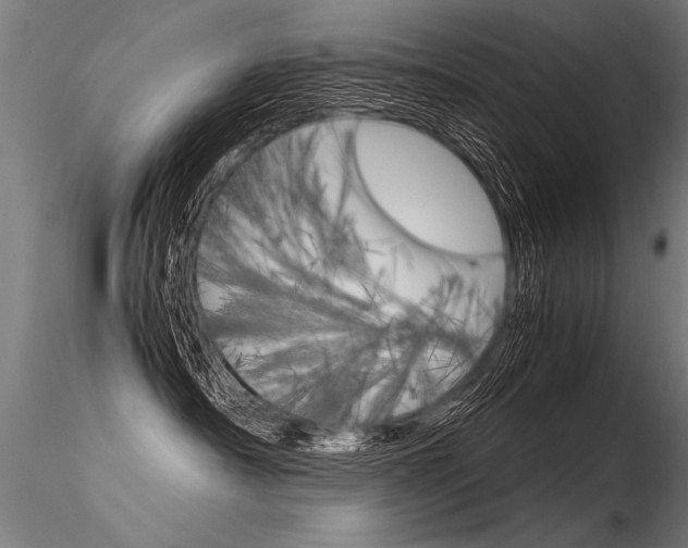 X0000116370430200912021014
