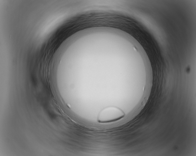 X0000116370431200912021014
