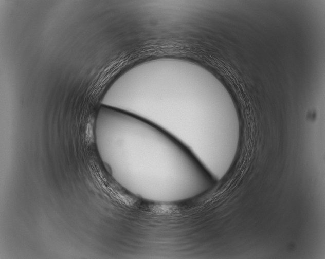 X0000116370432200912021014