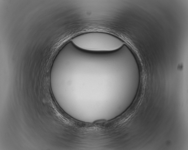 X0000116370433200912021013
