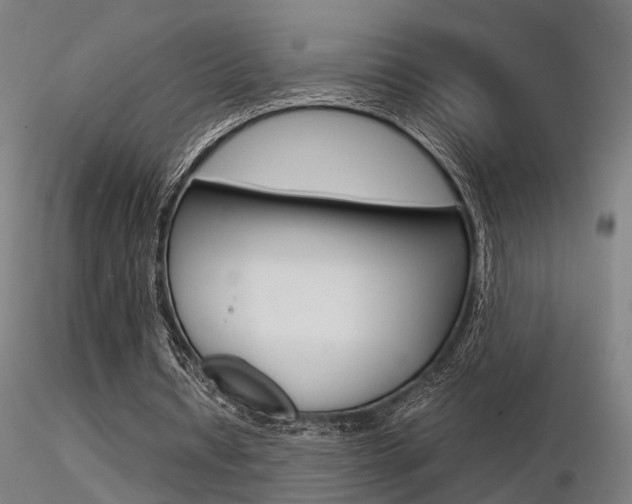 X0000116370434200912021013